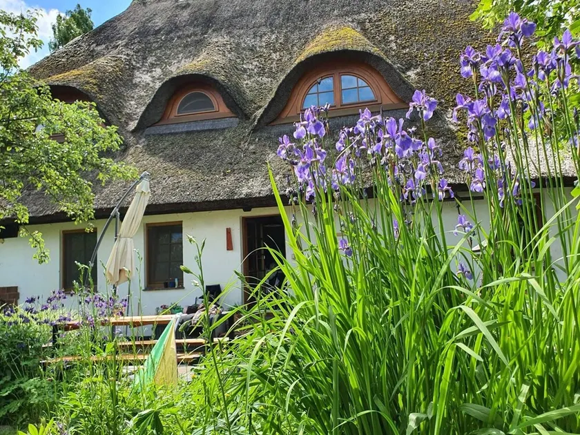 Krusenhagen Apartment with Garden - Image 1