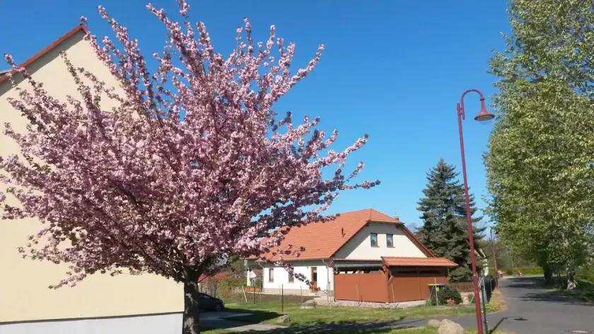Vacation apartment Störmthaler See - Image 1