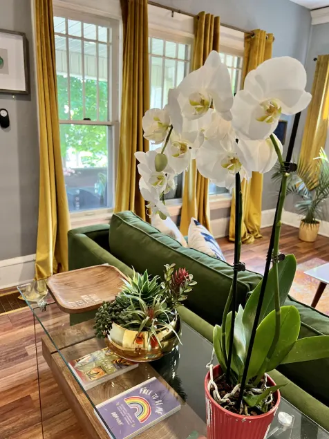 Cozy apartment in the heart of Historic Highland Square - Image 1