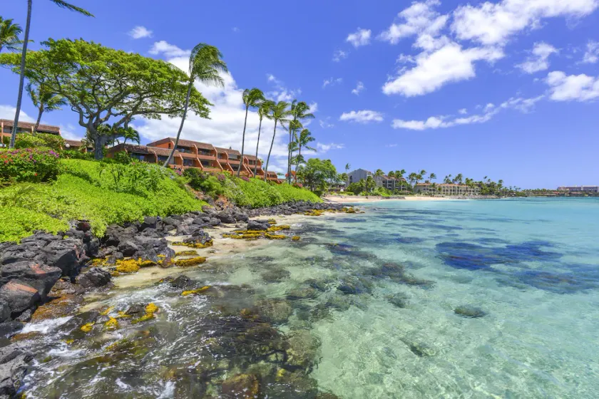 Kuleana 622 1Bdrm Condo - Image 1