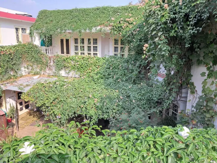 Vijaya's Homestead - Image 1