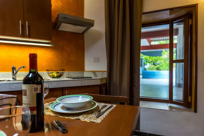 Plunge pool view! studio w/Netflix, wine cooler, etc. .9 mi. from central sq. - Image 1