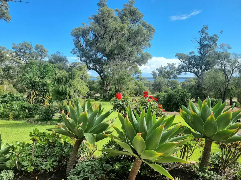 Estuary water views 4bedroom 2 Bathroom  home with pool Australind / Bunbury WA - Image 1