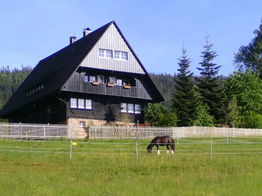Apartment Hüttenzauber in idyllic forester's lodge, family-friendly, dogs welcome - Image 1