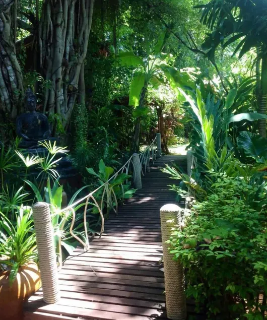 Jungle Bay Resort - Image 1