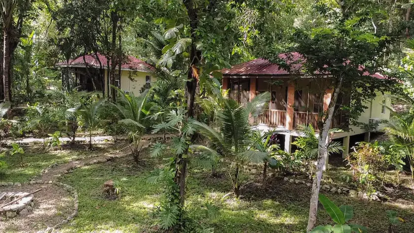 Three Jungle Cottages near San Ignacio~6 beds~AC~ Restaurant at the property - Image 1
