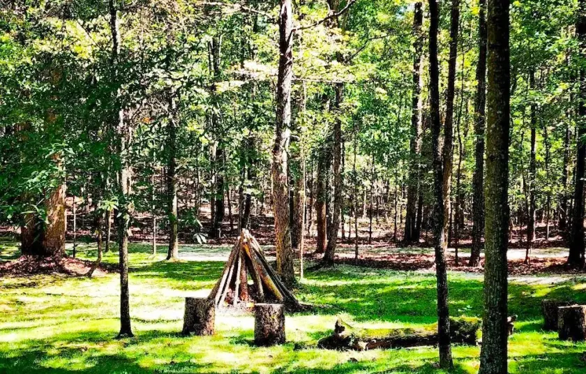 Quiet Cabin Retreat Near Serenbe - Image 1
