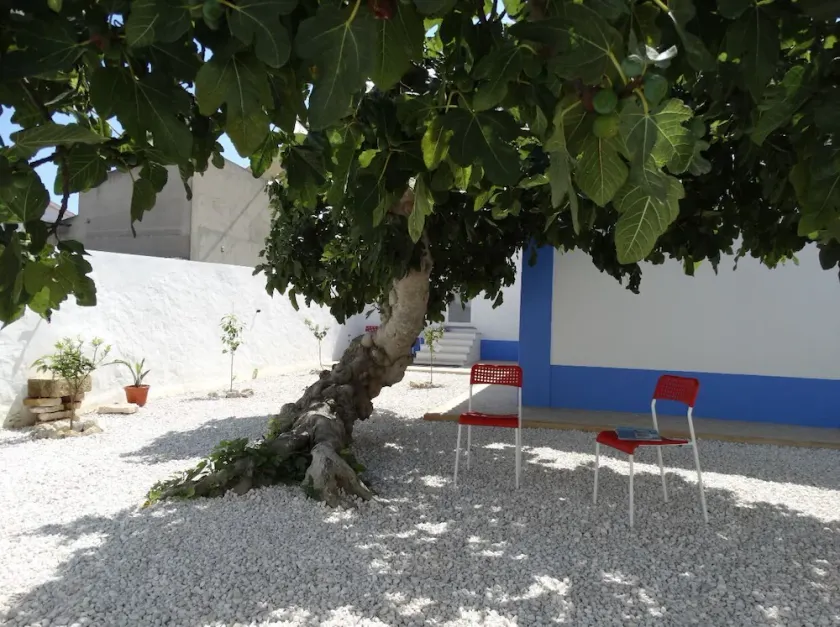 Casa da Figueira - Image 1