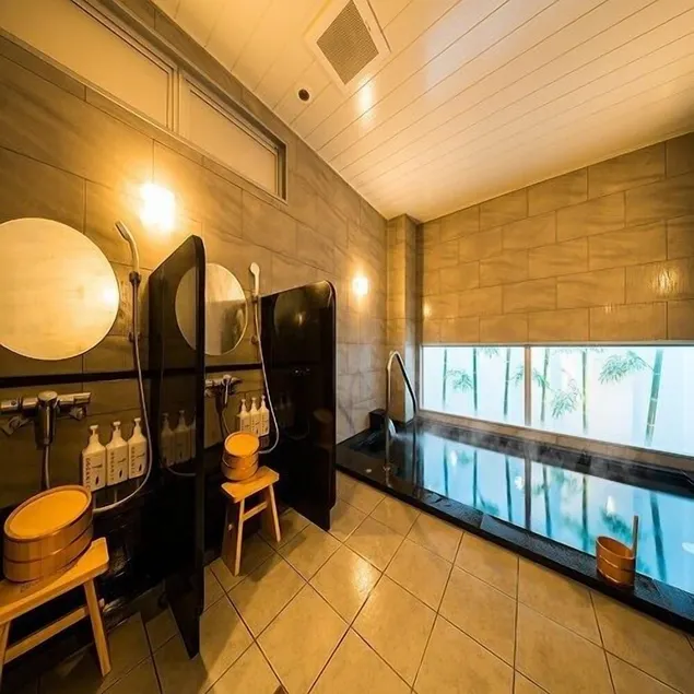 Sekishuu no Yu Super Hotel Gotsu Ekimae - Image 1