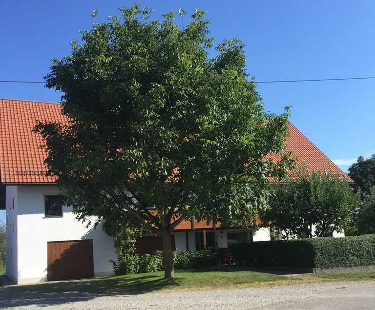 Holiday Apartment Andrea - Image 1