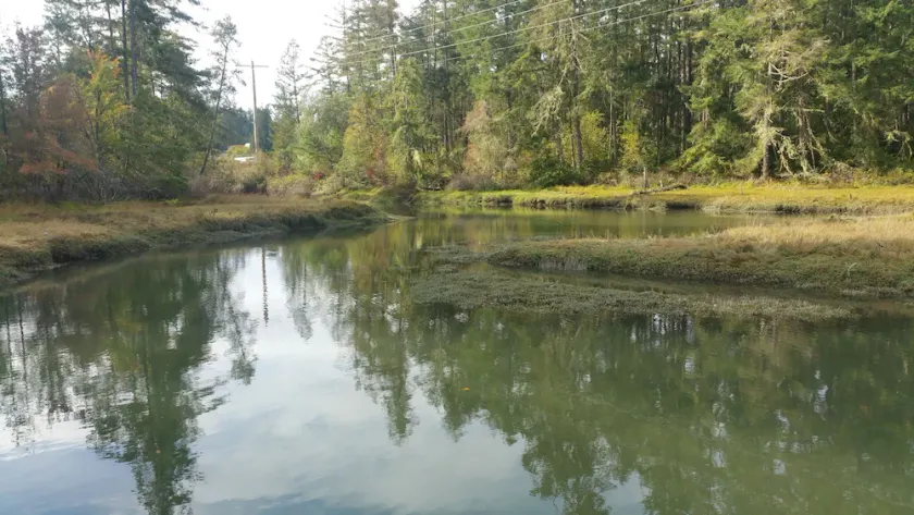 Anderson Island Escape - Image 1