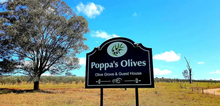 Poppa's Place @ Dalwood, Hunter Valley Vineyards Farmstay - Image 1