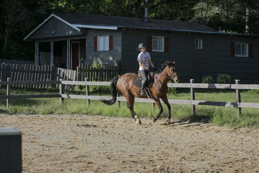 Pays paisible sur un cheval de travail - Image 1