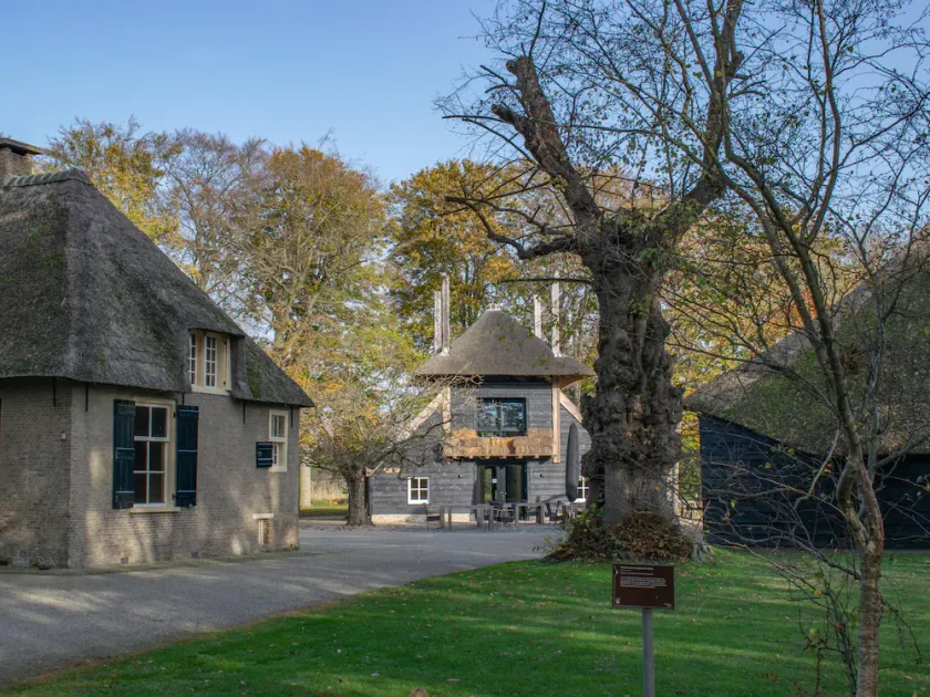 Luxury accommodation at the edge of the forest - Image 1