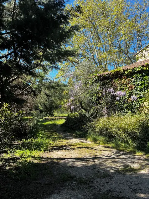 Mas Authentique Dans les Alpilles à 5 mn de Saint Rémy de Provence - Image 1