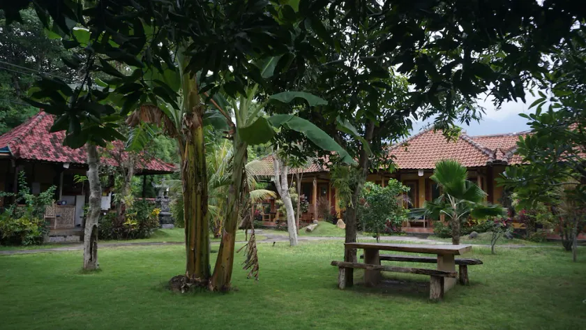 Biorock Homestay & Dive Center Pemuteran - Image 1