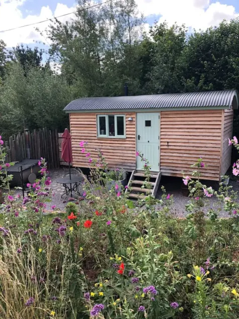 Steam and Stars Luxury Glamping - Image 1