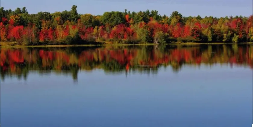 Blue Spruce Lakefront Retreat - Recharge, reset, renew. - Image 1