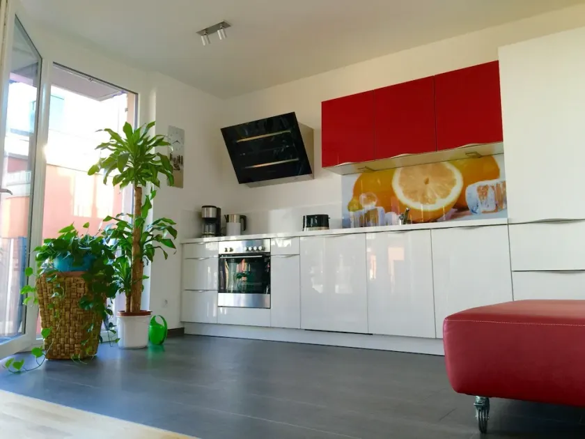 Apartment with Rhine view, 125 sqm, 4 rooms, designer furnishings - Image 1