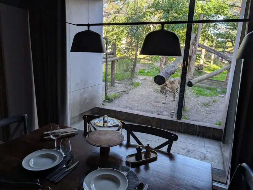 Night experience - Lodge By Zoo Bordeaux Pessac - Image 1