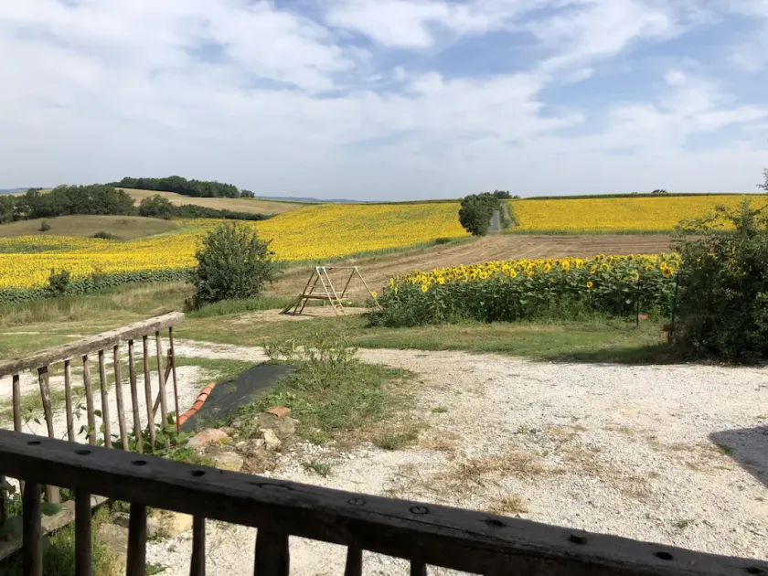 Maison en Campagne Avec une Magnifique Terrasse Couverte en Bois - Image 1