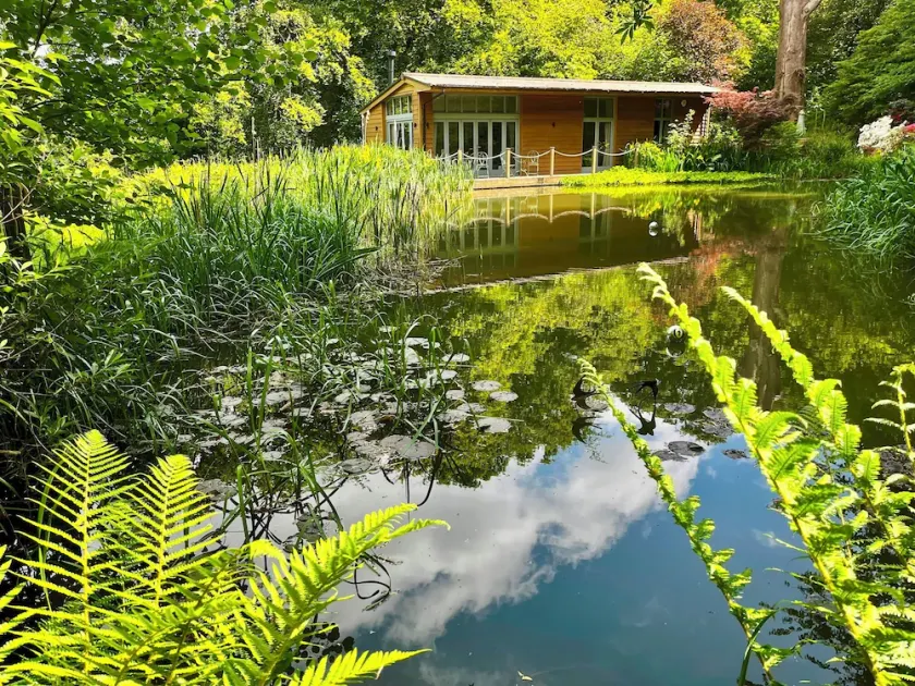 Secluded, New Forest Riverside Lodge - Image 1