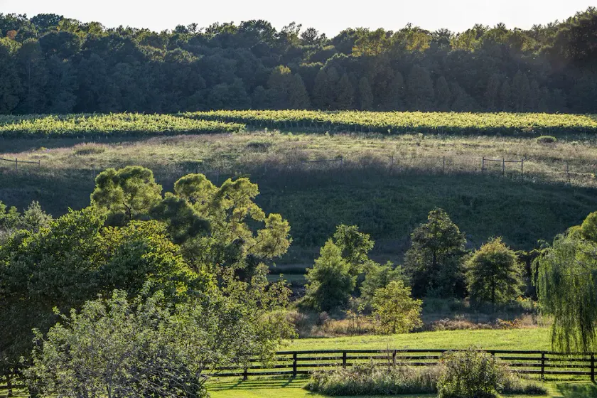Charming Cottage on beautiful Farm & Vineyard - Image 1
