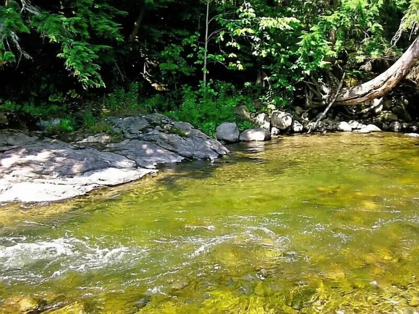 6 Acres Of River Front Heaven, booking summer and fall 2026 - Image 1