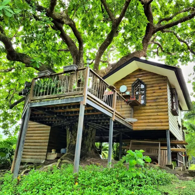 ★ Quinta Pavo Real - The Magic Tree House - Image 1