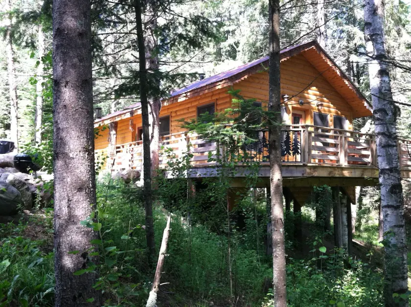 A Cozy Cabin in the Woods, Many Trails And A Little Lake - Image 1