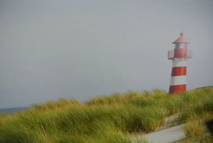 Vacanze, vacanze e mare - Image 1