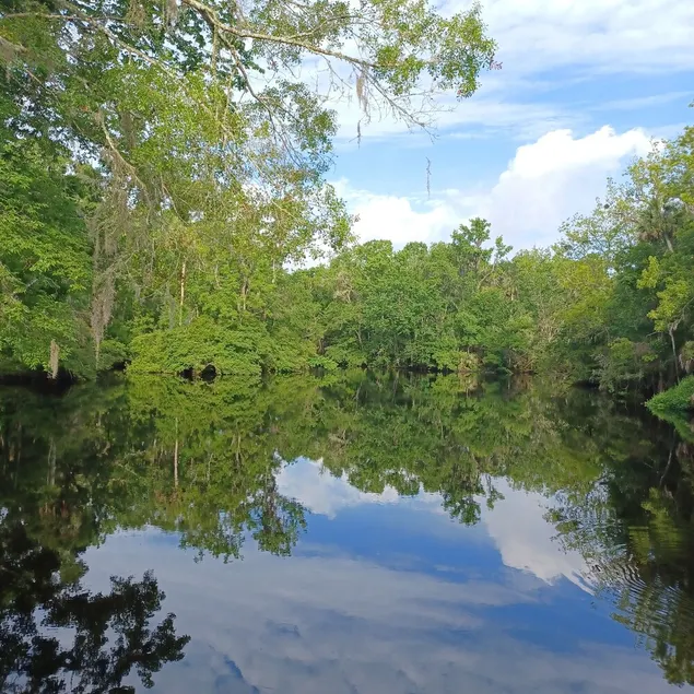 Waterfront open floor plan cottage on the scenic Aucilla River. - Image 1