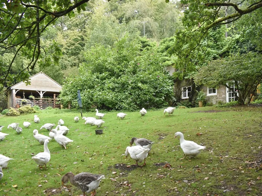 2 bedroom accommodation in Crowborough - Image 1