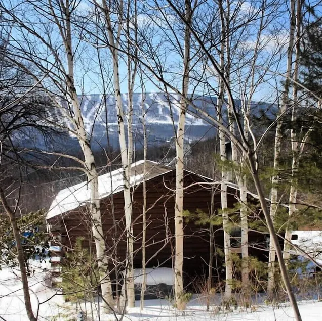 Cozy Log Cabin in the Catskills Belleayre Ski Mountain - Image 1