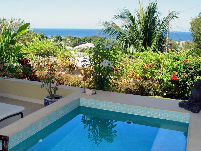  luxury apartment with plunge pool, (sole use) terrace and sea views - Image 1