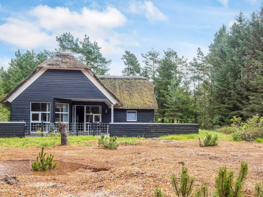 4 star holiday home in Nørre Nebel - Image 1