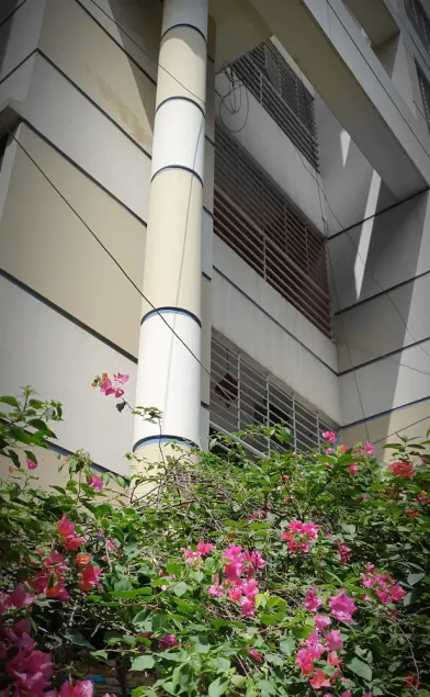 Daon Guest House Dhaka - Image 1