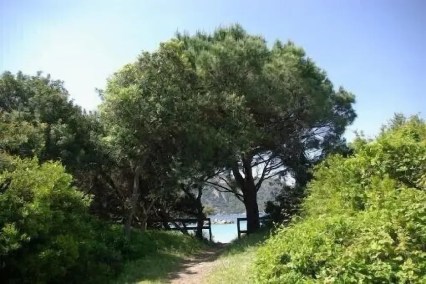 Beautiful house with garden 50 meters from the beach - Image 1