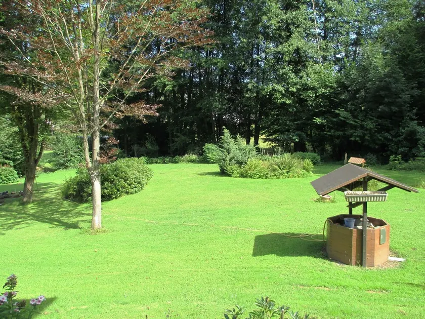 Apartamento justo en el bosque en una ubicación tranquila y apartada en el corazón de Vulkaneifel - Image 1