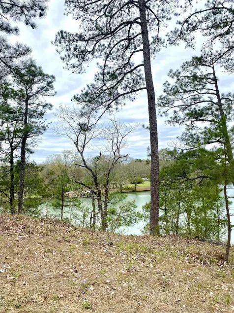 The Cedar at Hamilton Cove ~ Boutique Country Chic Lake Retreat - Image 1