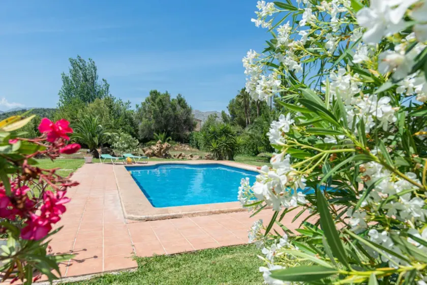 Rural retreat in the heart of nature: enjoy tranquility and privacy - Image 1