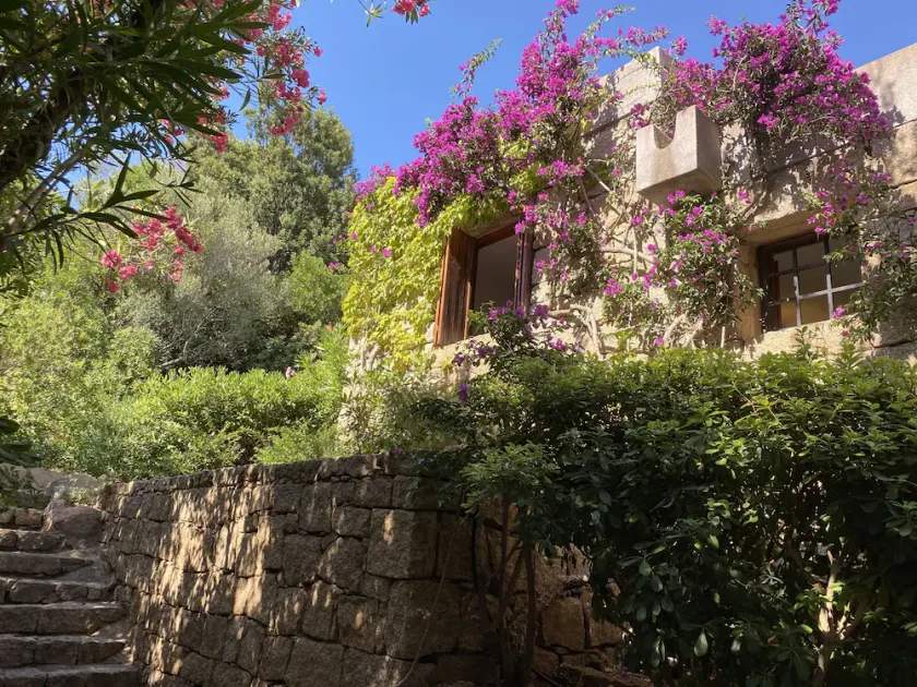 DOMUS OLIVARUM-Costa Smeralda  NEW! 7 guest, 3 room, 2 bathroom, 2 PK, Wifi A/C - Image 1