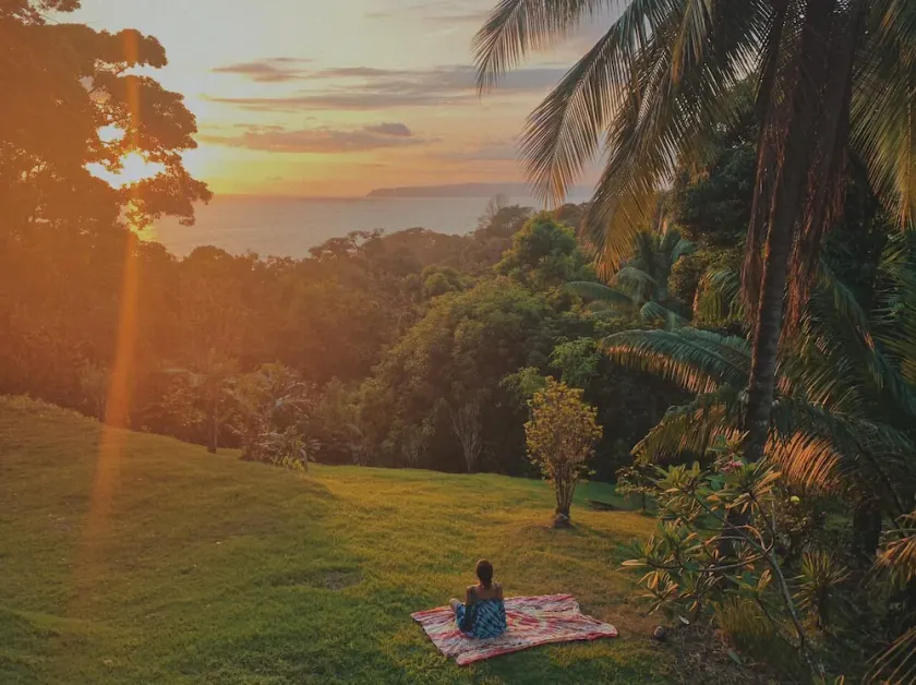 Lodge   dans forêt tropicale, vue imprenable sur Pacifique - Image 1