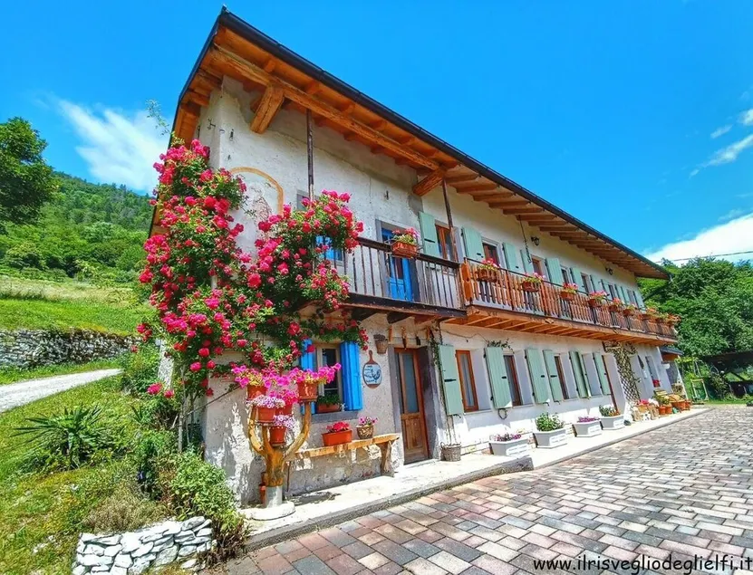 House in Nature - The Awakening of the Elves - Image 1