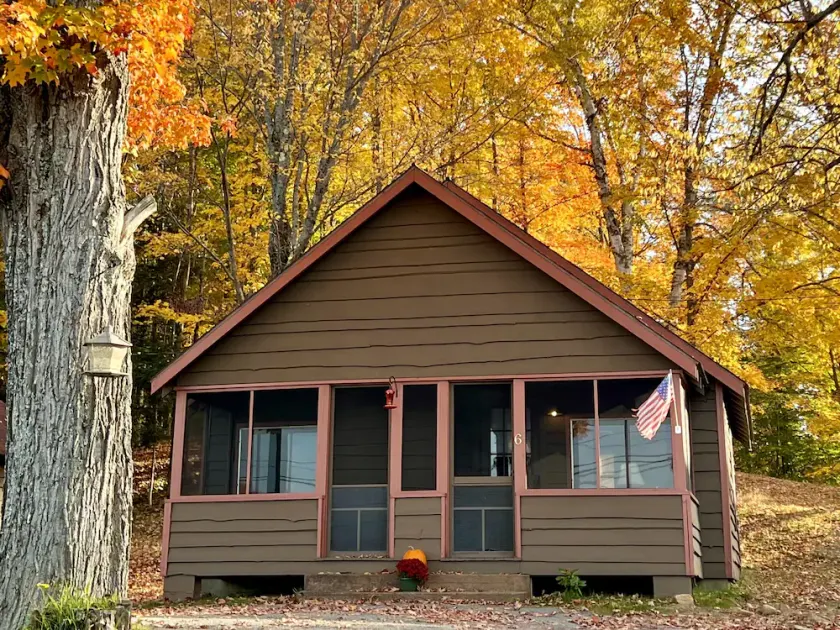 Cozy Cabin with Lake Views - Rustic Getaway - Image 1