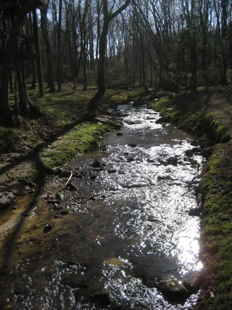 WOW‼️CREEKSIDE 3KINGS-Sleeps 10 🐩🐕Dogs🫶 Near DTown,Orchard,Rivers,Vineyard,Hiking - Image 1