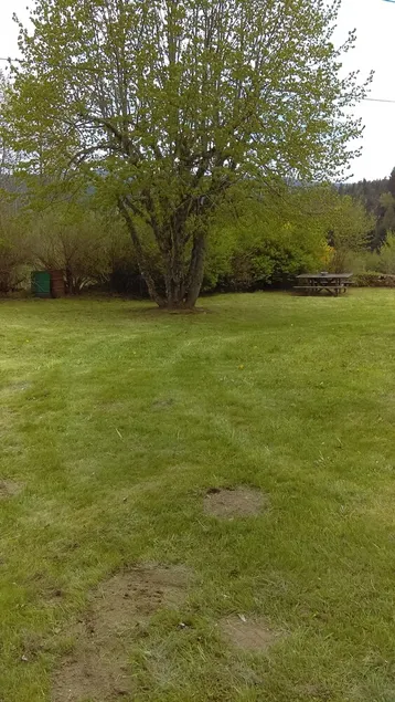 et hus omgivet af natur - Image 1