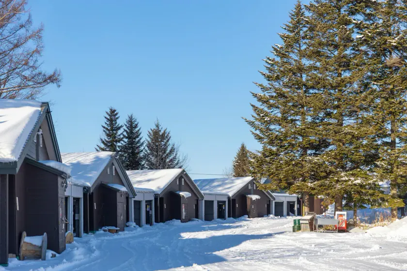 Starry Sky Cottage 15 - Image 1