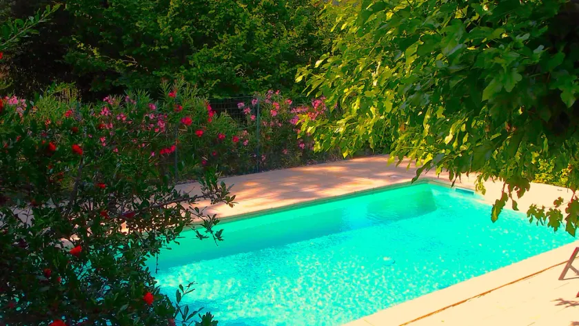 In a privileged setting, detached house, private swimming pool, pets allowed - Image 1