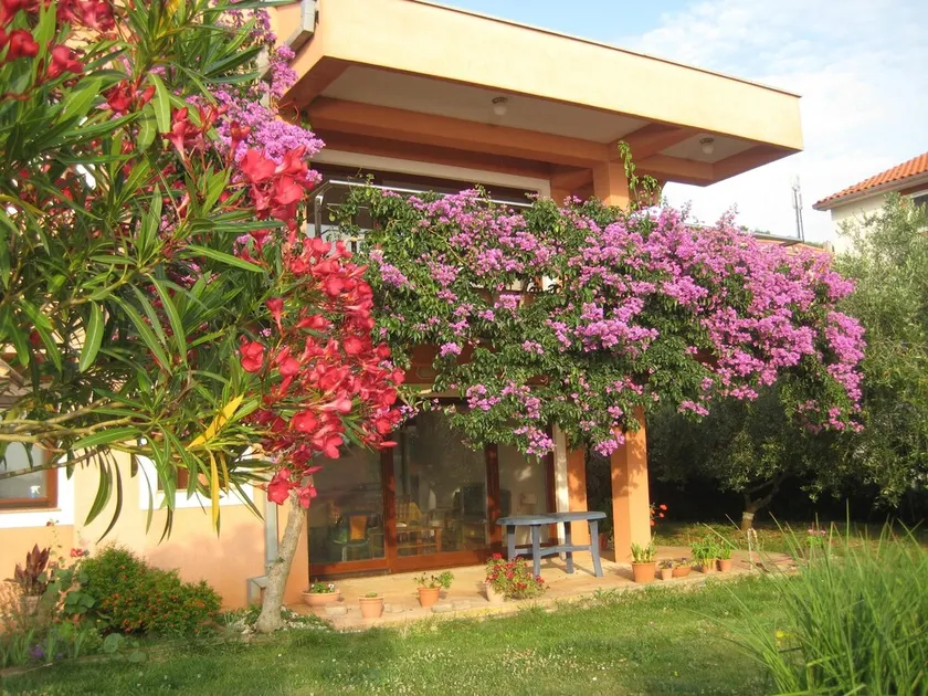 Family-friendly apartment in old fishermen village close to Zadar - Image 1